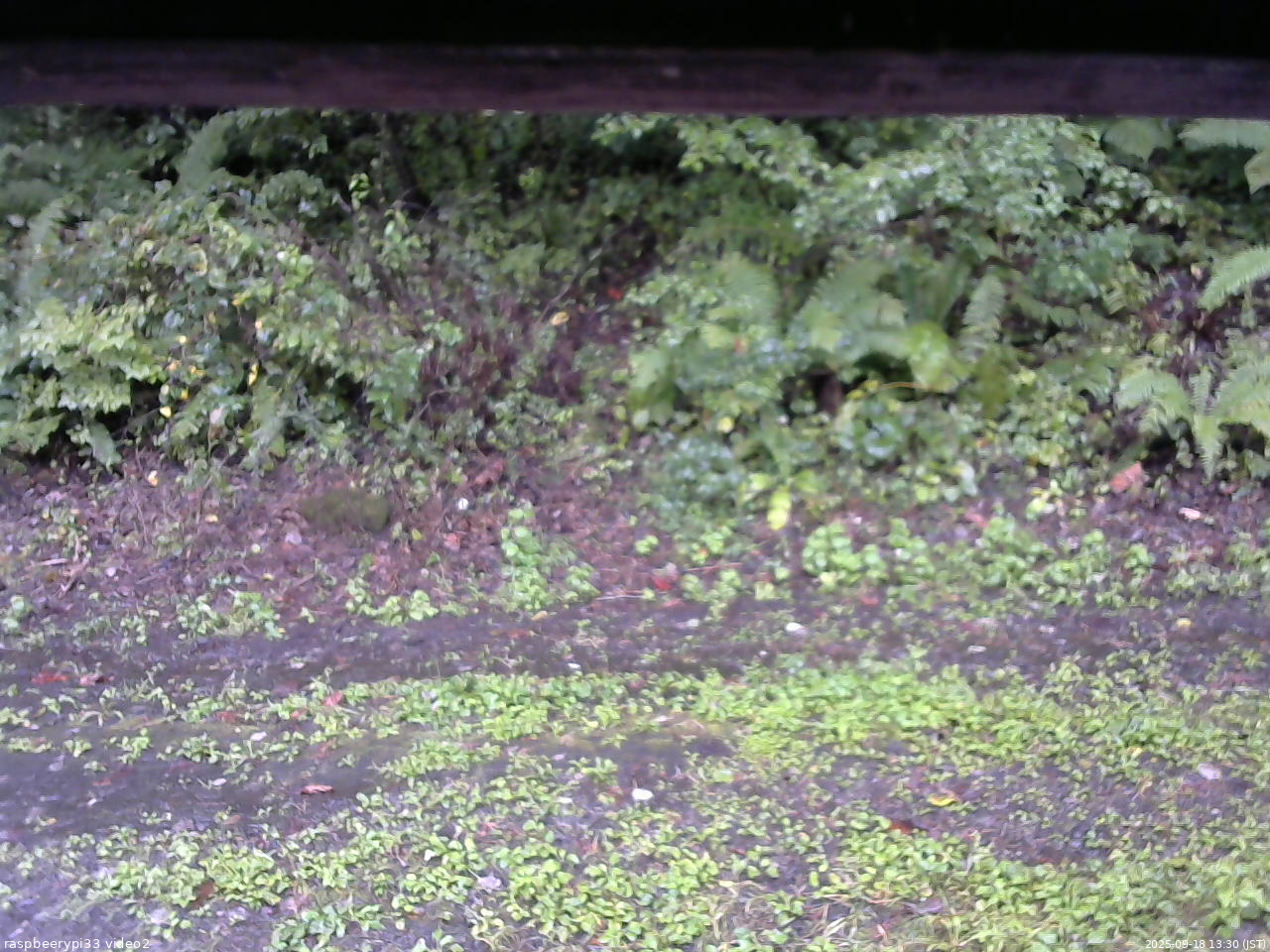 長野県菅平高原 ゆたか山荘 南側 2025/09/18 13:30