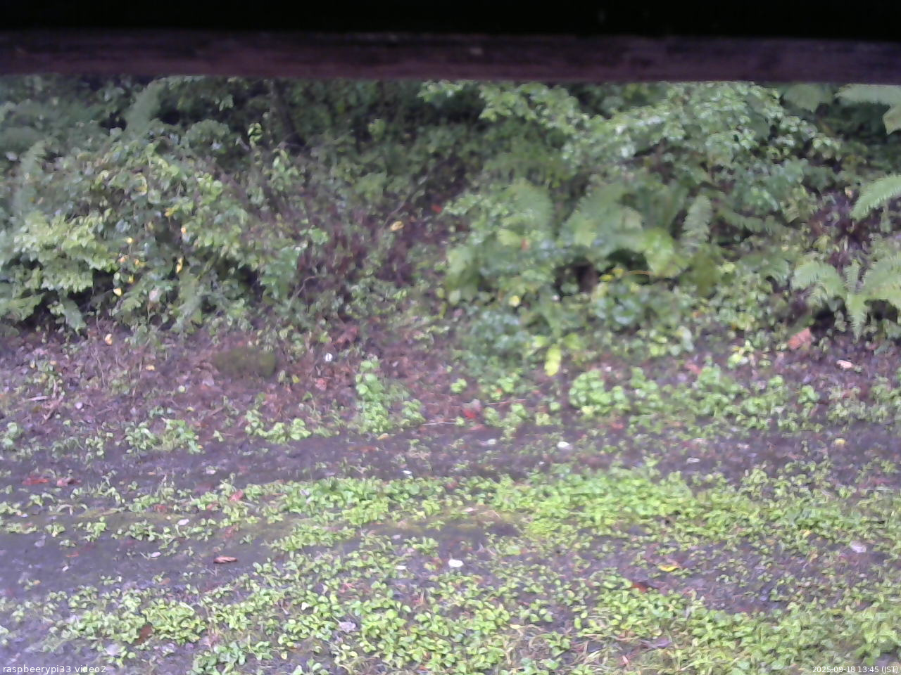 長野県菅平高原 ゆたか山荘 南側 2025/09/18 13:45