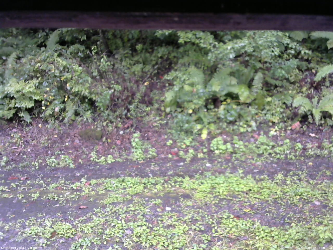 長野県菅平高原 ゆたか山荘 南側 2025/09/18 14:00