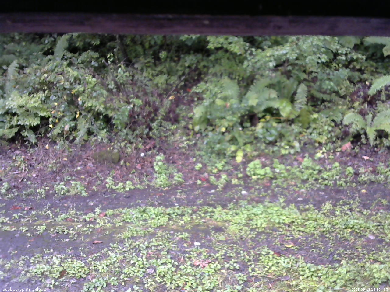 長野県菅平高原 ゆたか山荘 南側 2025/09/18 14:30