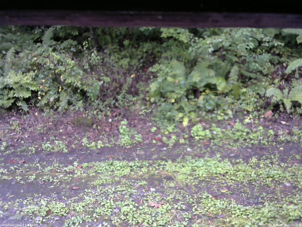 長野県菅平高原 ゆたか山荘 南側 2025/09/18 14:45