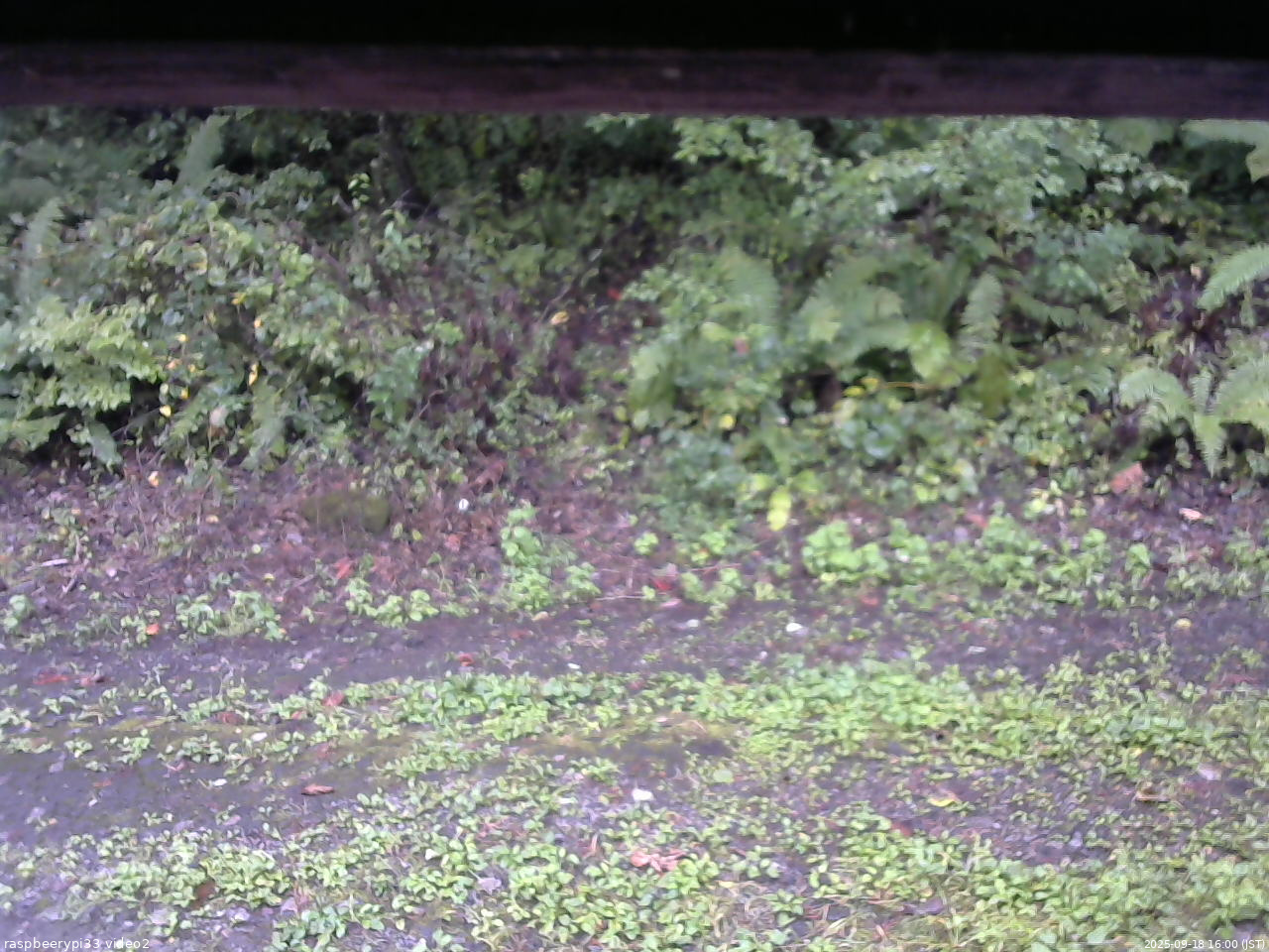 長野県菅平高原 ゆたか山荘 南側 2025/09/18 16:00