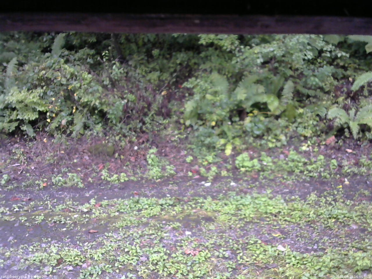 長野県菅平高原 ゆたか山荘 南側 2025/09/18 16:45
