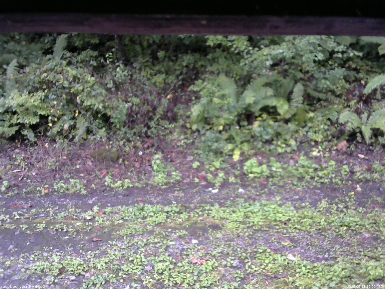 長野県菅平高原 ゆたか山荘 南側 2025/09/18 17:00