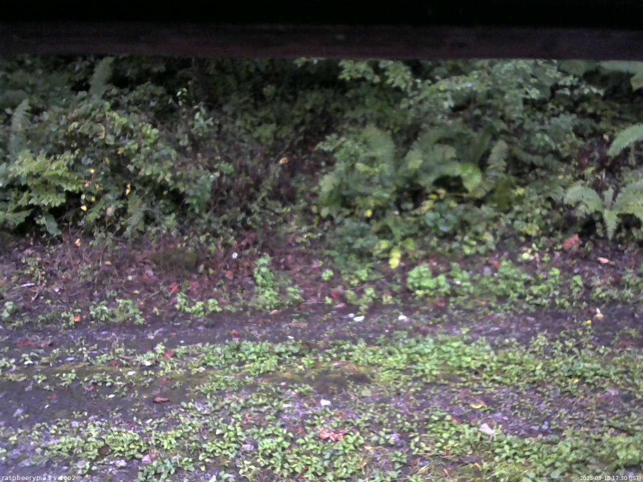 長野県菅平高原 ゆたか山荘 南側 2025/09/18 17:30