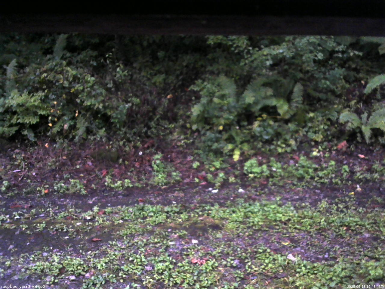 長野県菅平高原 ゆたか山荘 南側 2025/09/18 17:45