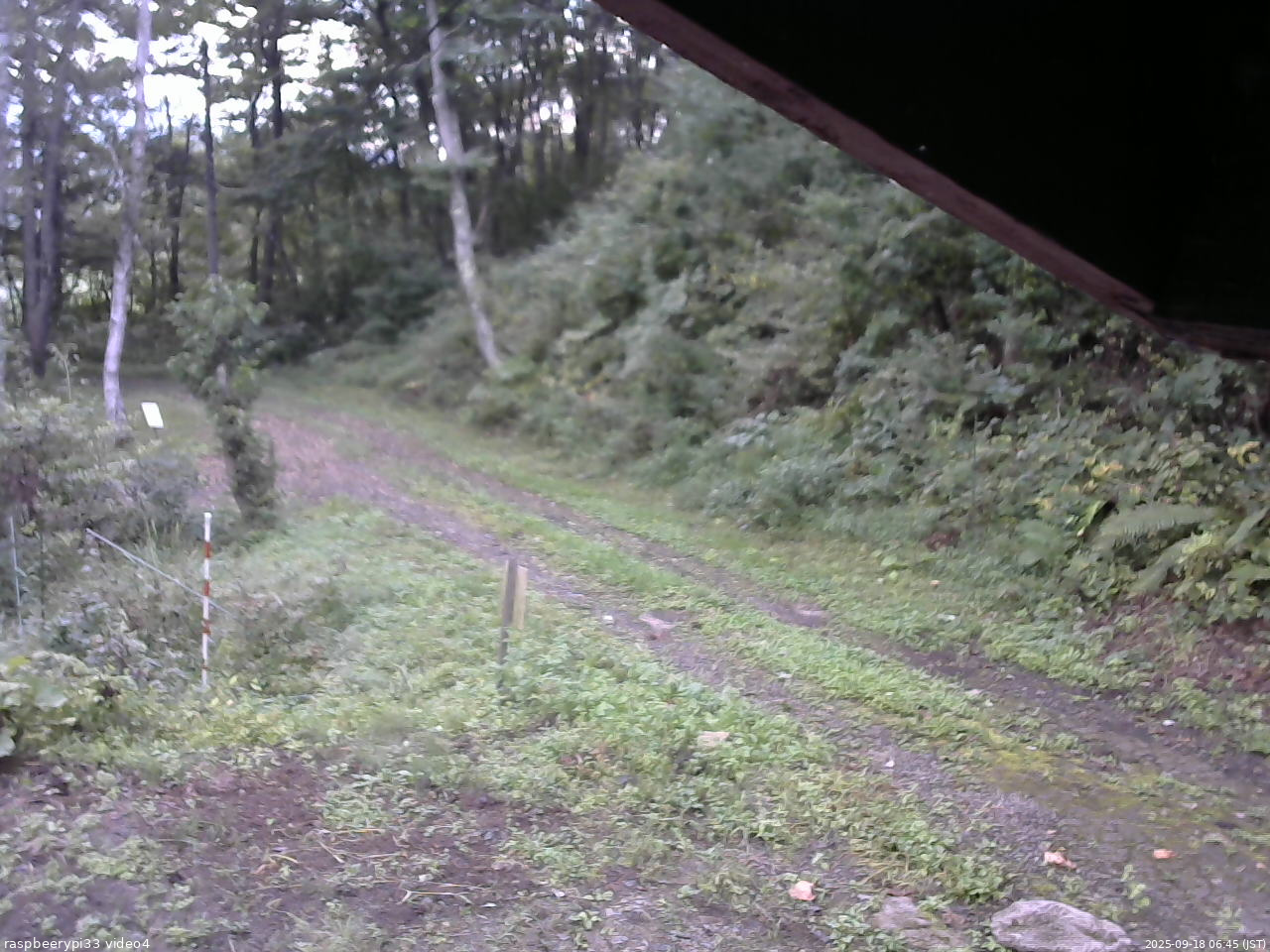 長野県菅平高原 ゆたか山荘 東側(坂下) 2025/09/18 06:45