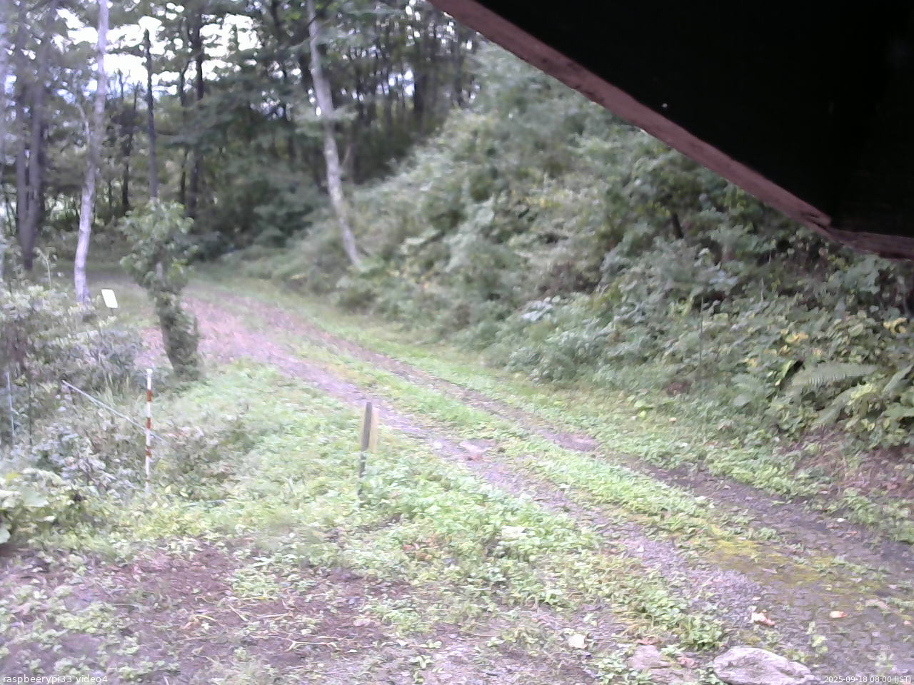 長野県菅平高原 ゆたか山荘 東側(坂下) 2025/09/18 08:00