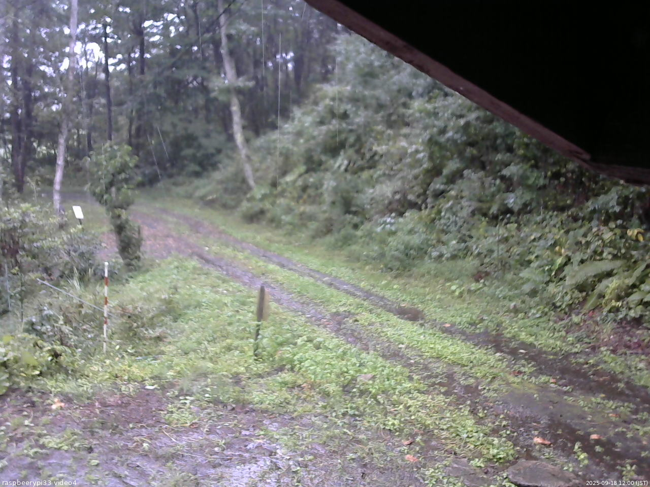 長野県菅平高原 ゆたか山荘 東側(坂下) 2025/09/18 12:00