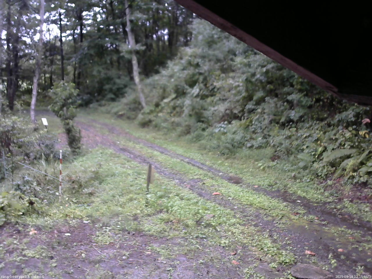長野県菅平高原 ゆたか山荘 東側(坂下) 2025/09/18 12:15