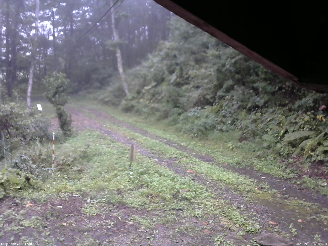 長野県菅平高原 ゆたか山荘 東側(坂下) 2025/09/18 16:00