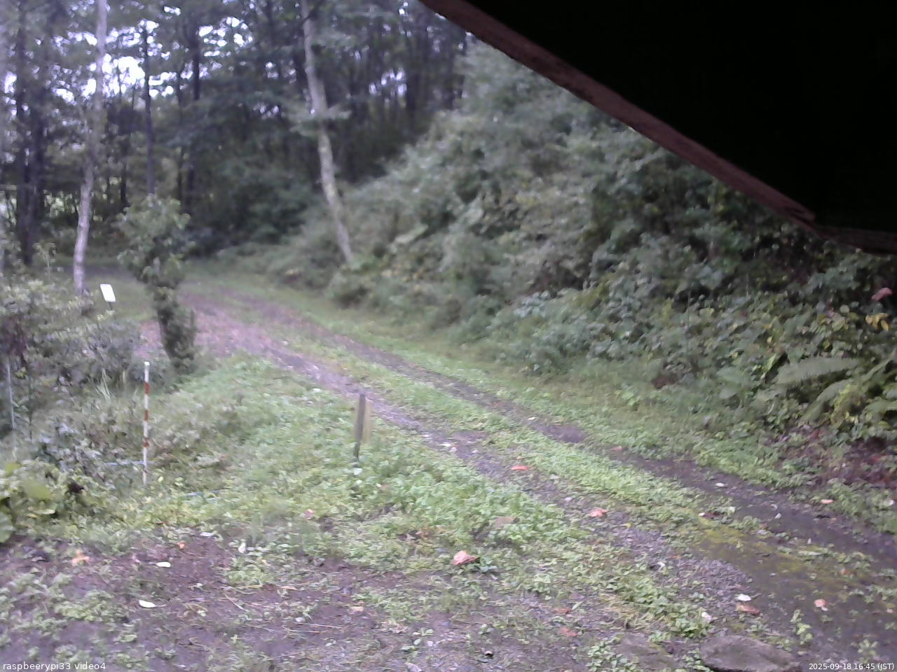 長野県菅平高原 ゆたか山荘 東側(坂下) 2025/09/18 16:45