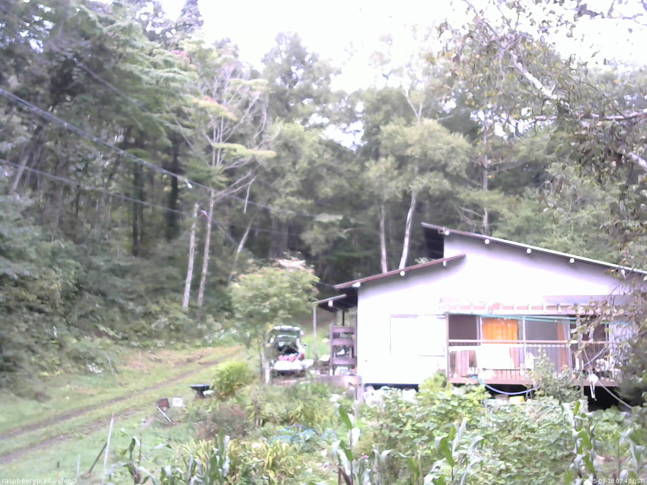 長野県菅平高原 ゆたか山荘 西側(坂上) 2025/09/18 07:45