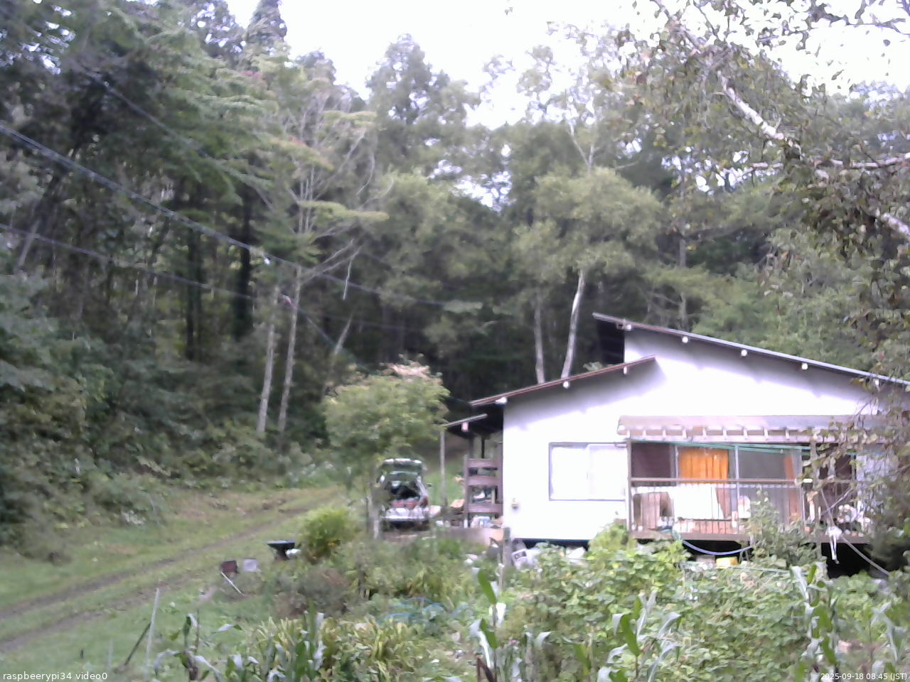 長野県菅平高原 ゆたか山荘 西側(坂上) 2025/09/18 08:45