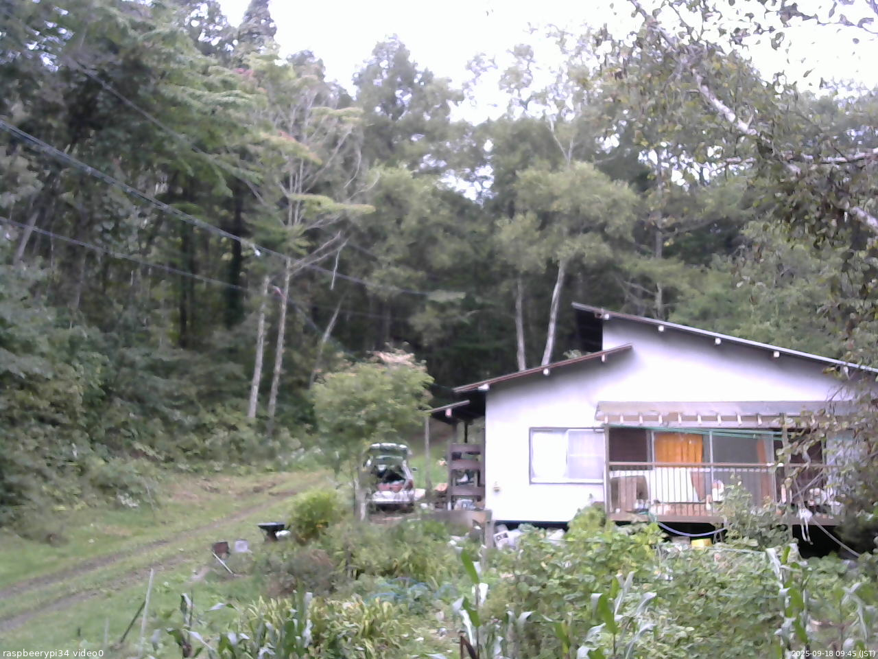 長野県菅平高原 ゆたか山荘 西側(坂上) 2025/09/18 09:45