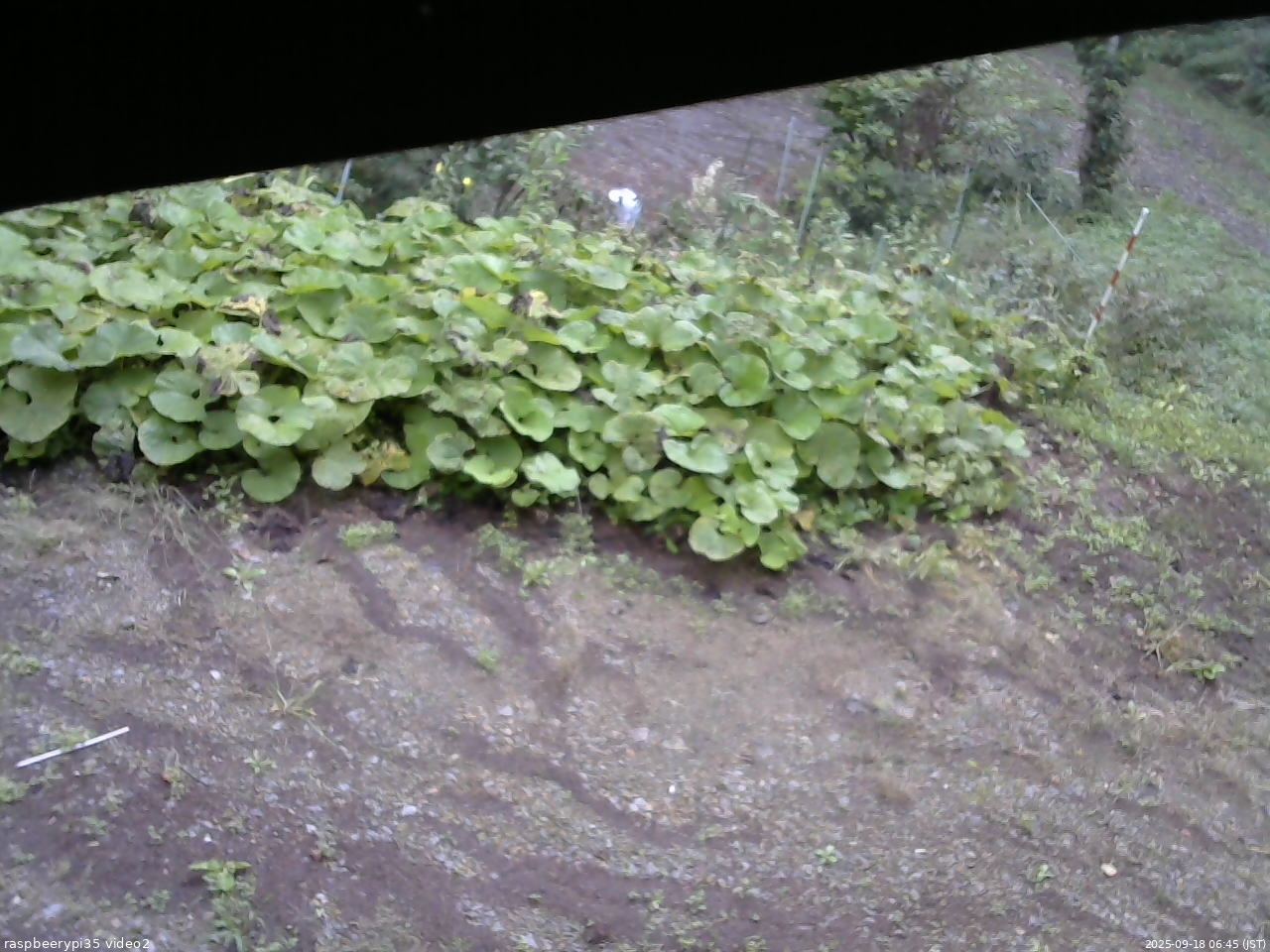 長野県菅平高原 ゆたか山荘 駐車場 2025/09/18 06:45