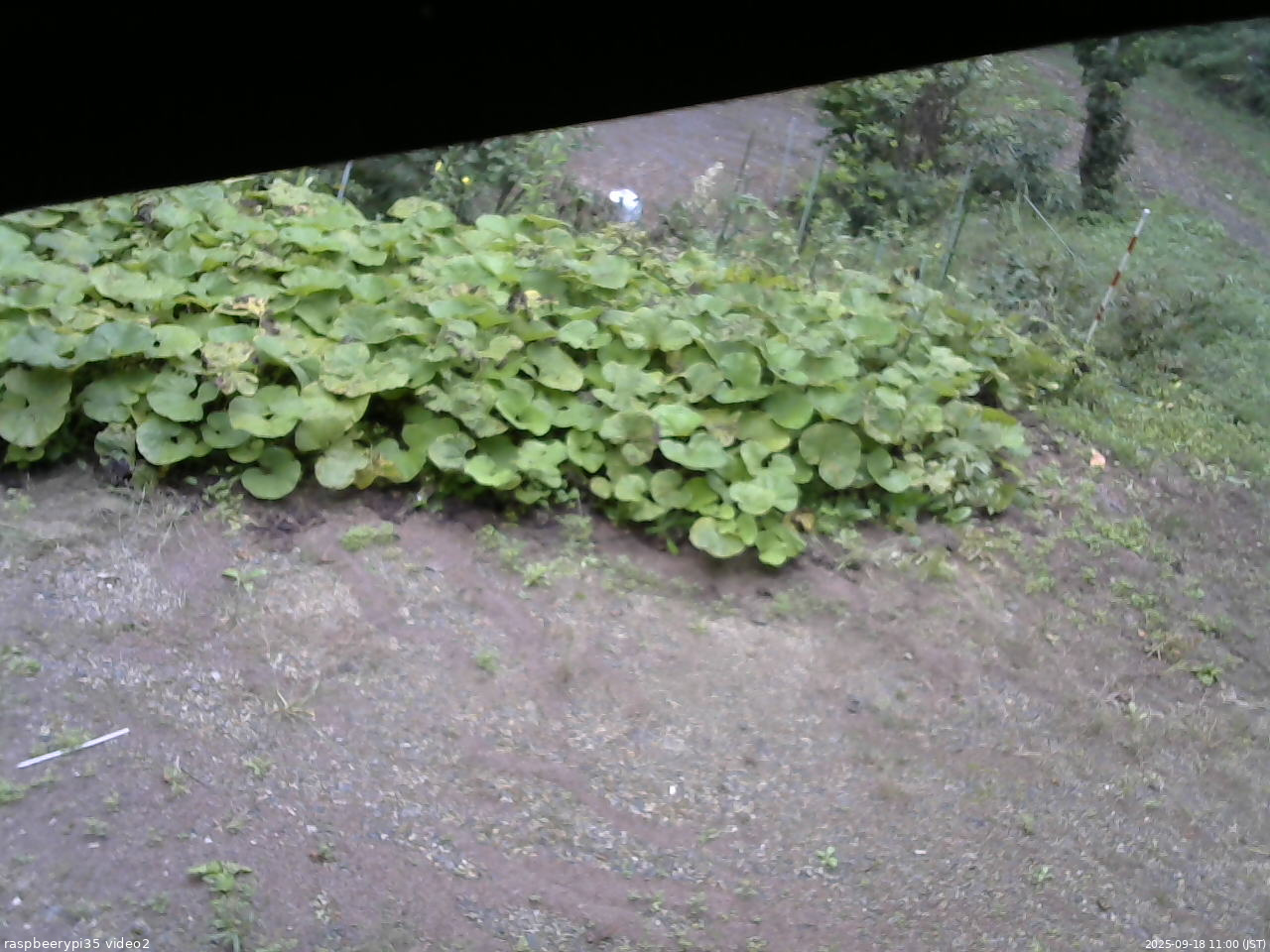 長野県菅平高原 ゆたか山荘 駐車場 2025/09/18 11:00