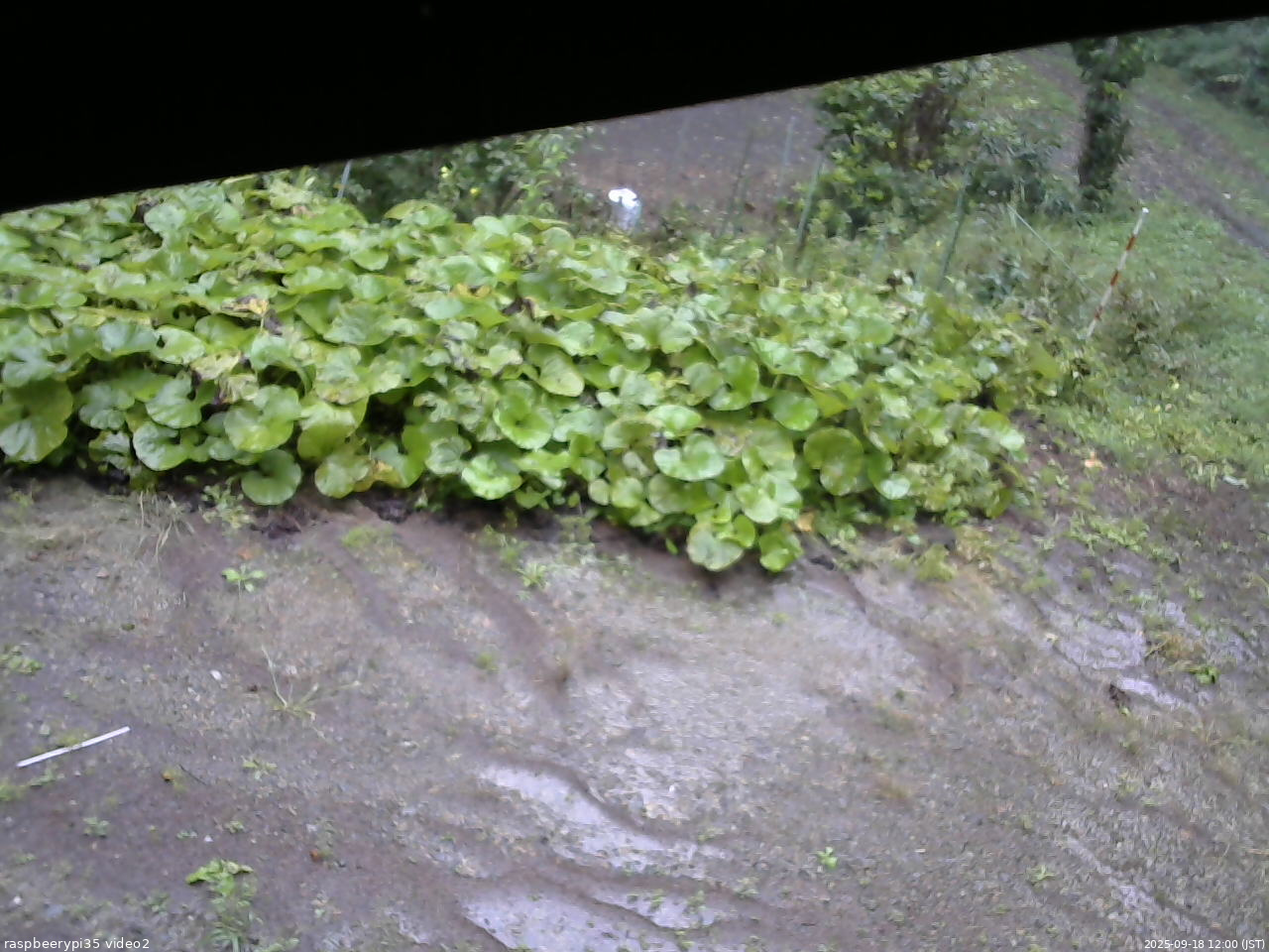長野県菅平高原 ゆたか山荘 駐車場 2025/09/18 12:00