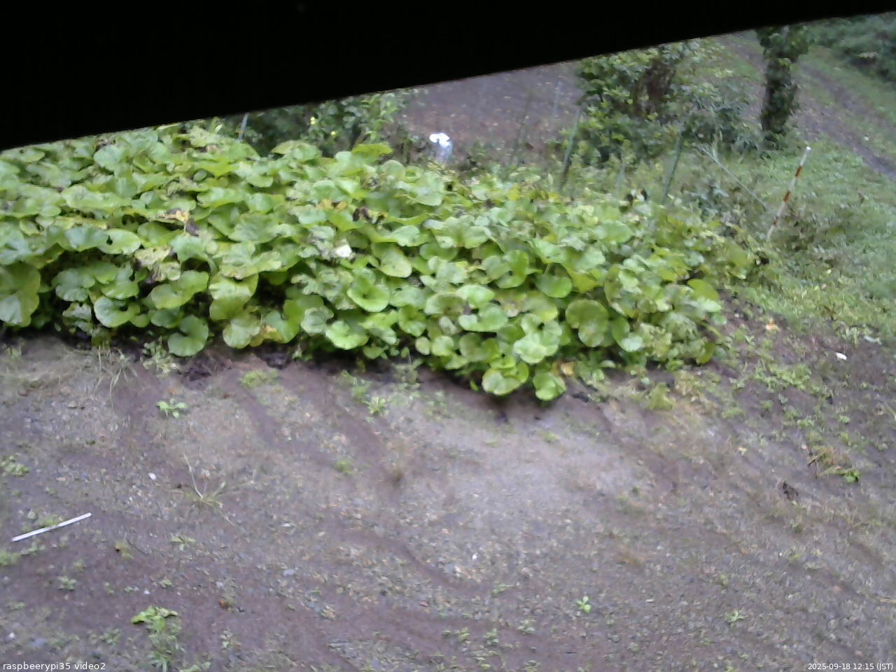 長野県菅平高原 ゆたか山荘 駐車場 2025/09/18 12:15