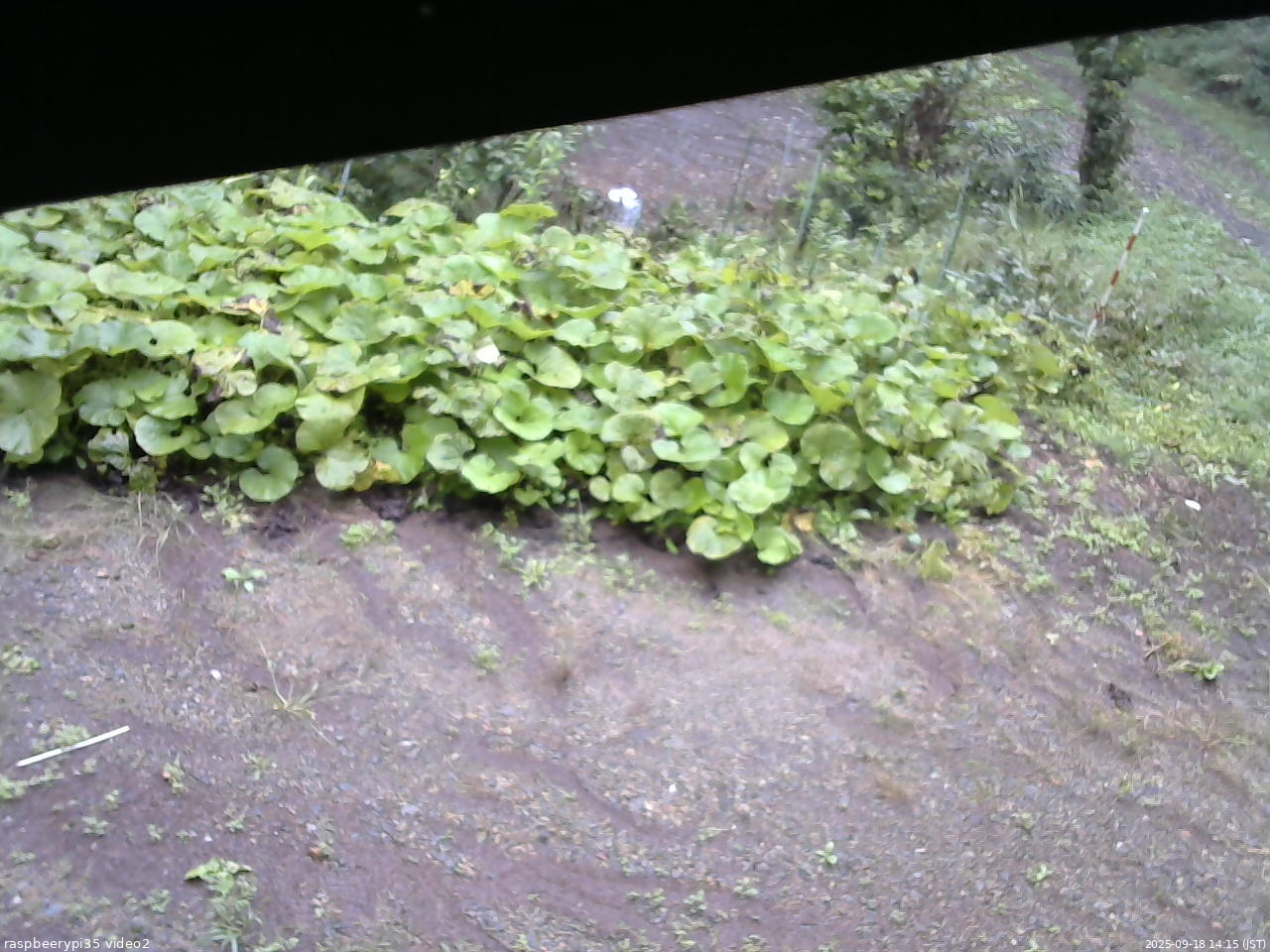 長野県菅平高原 ゆたか山荘 駐車場 2025/09/18 14:15