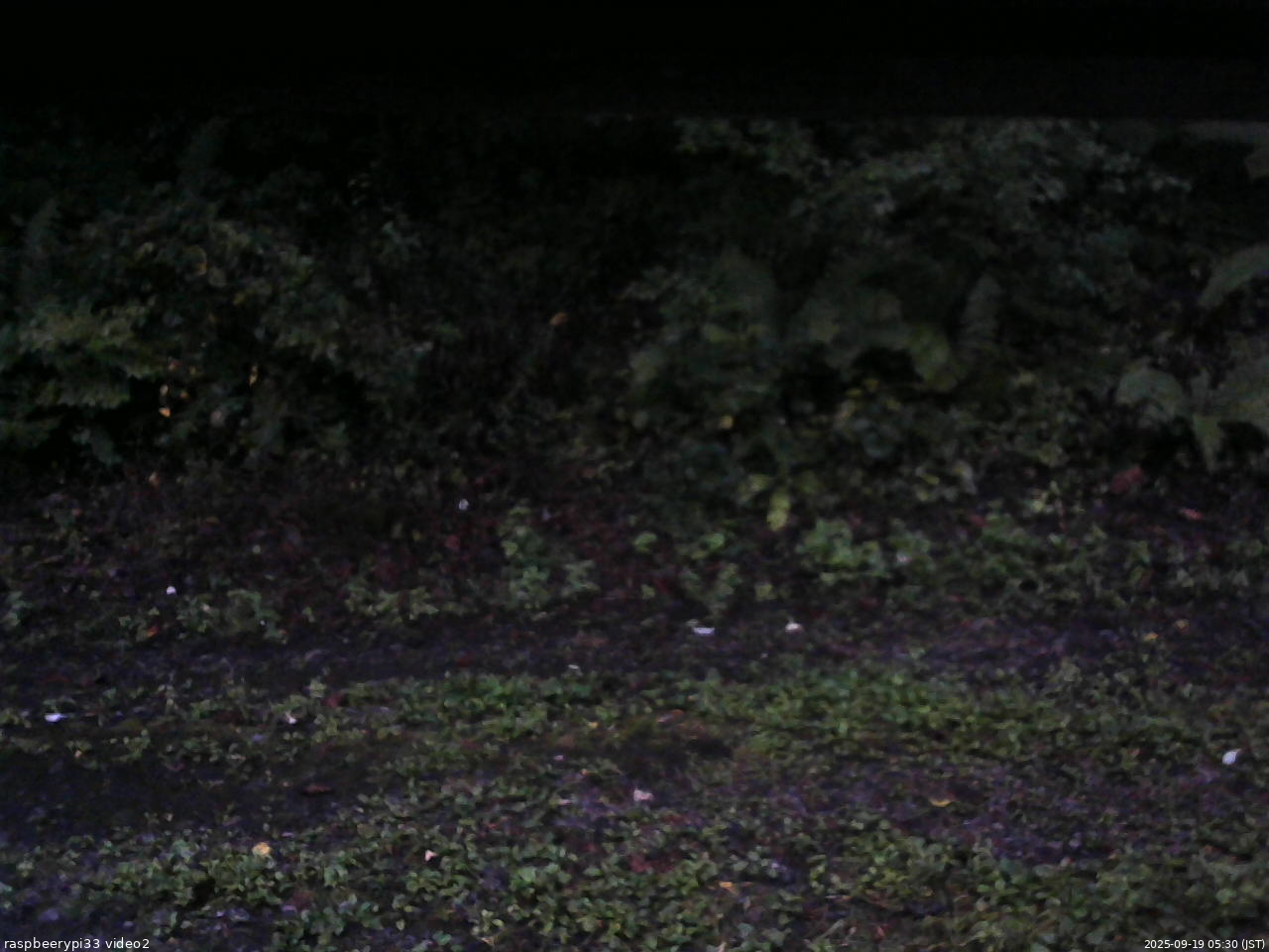 長野県菅平高原 ゆたか山荘 南側 2025/09/19 05:30