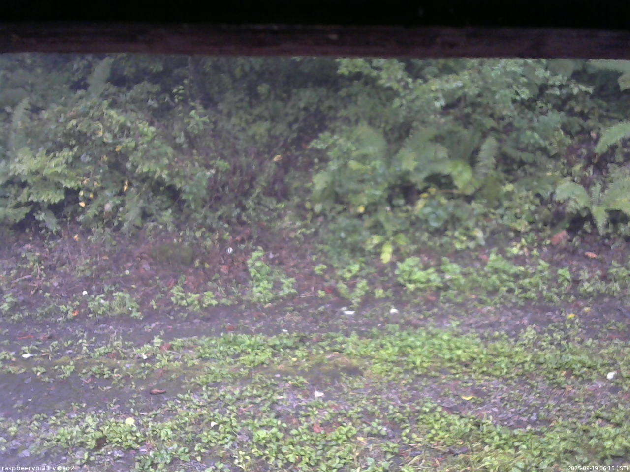 長野県菅平高原 ゆたか山荘 南側 2025/09/19 06:15