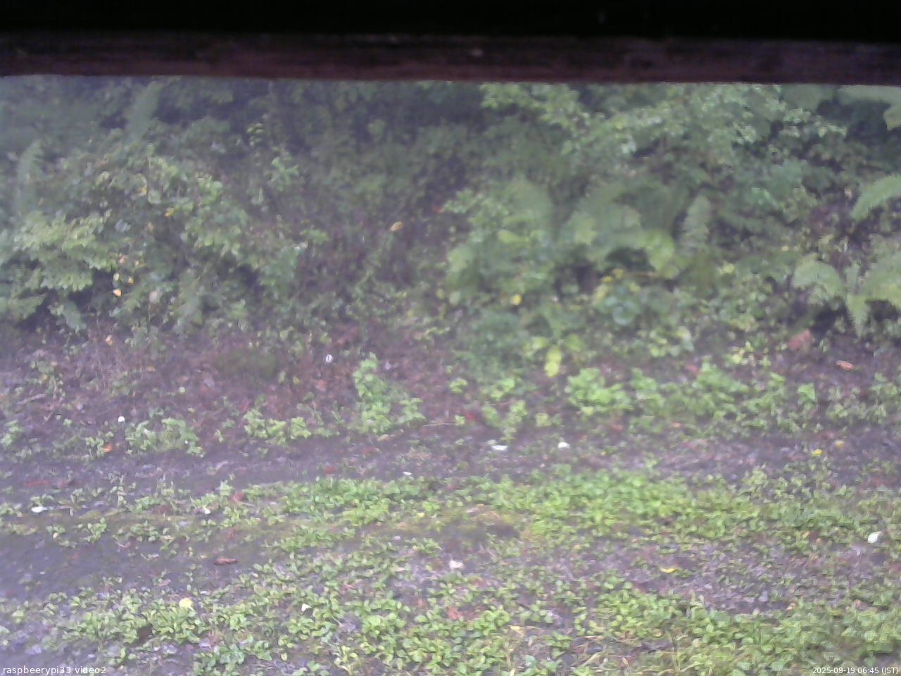 長野県菅平高原 ゆたか山荘 南側 2025/09/19 06:45