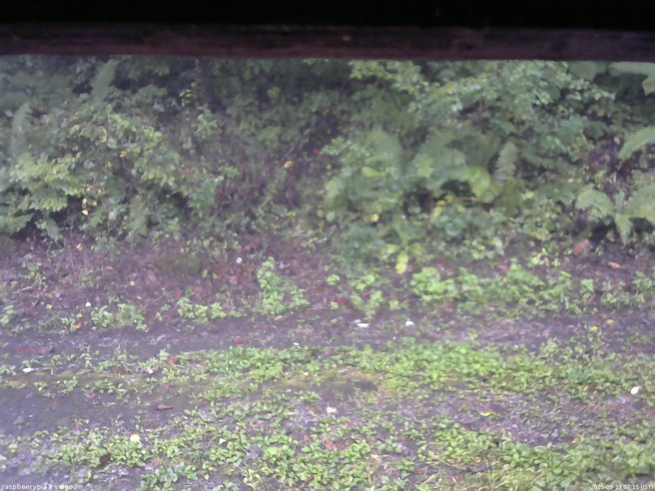 長野県菅平高原 ゆたか山荘 南側 2025/09/19 07:15