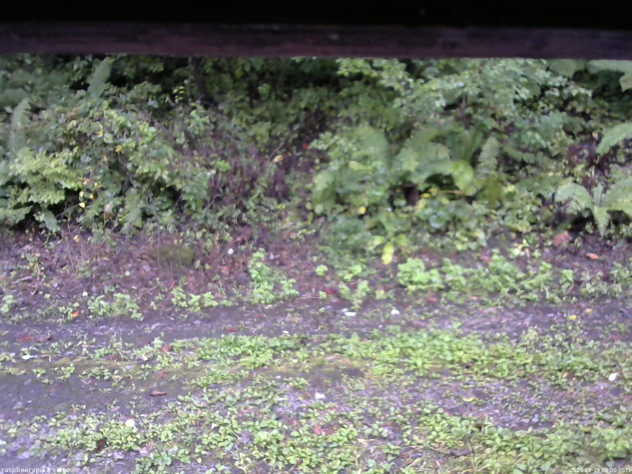 長野県菅平高原 ゆたか山荘 南側 2025/09/19 08:00