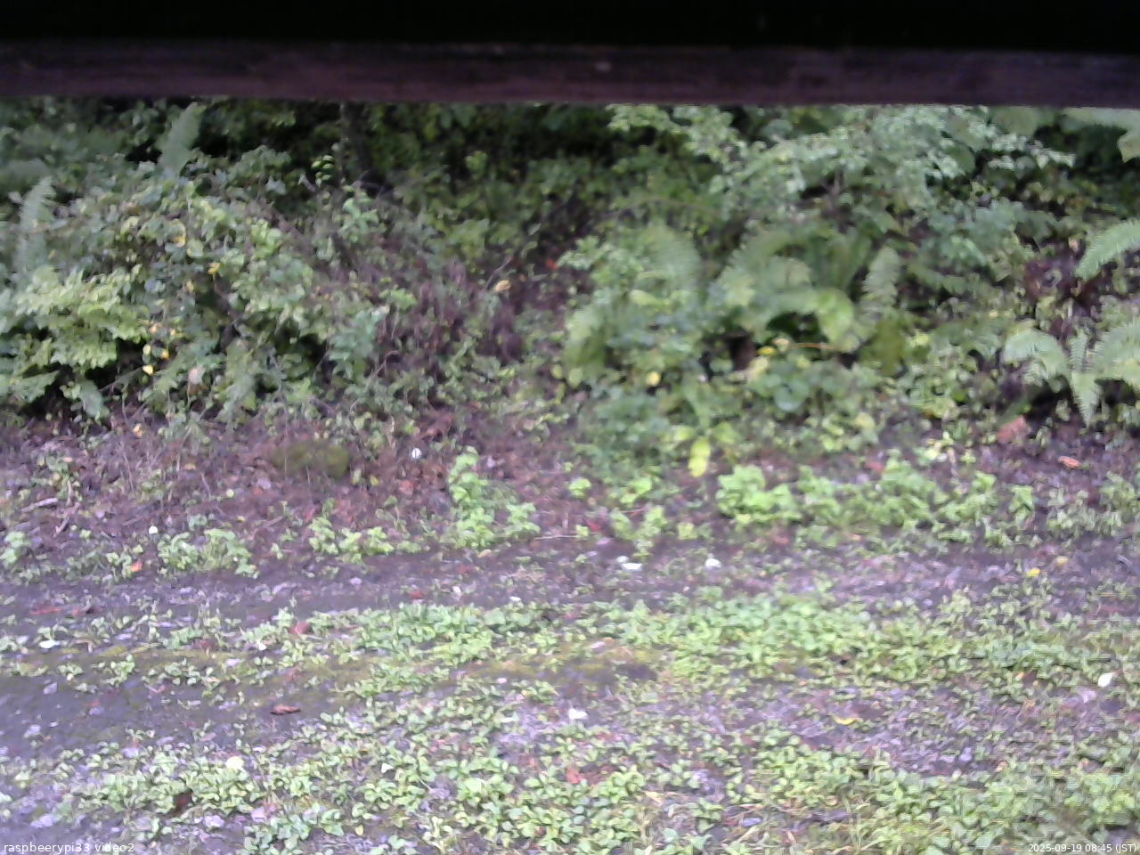 長野県菅平高原 ゆたか山荘 南側 2025/09/19 08:45