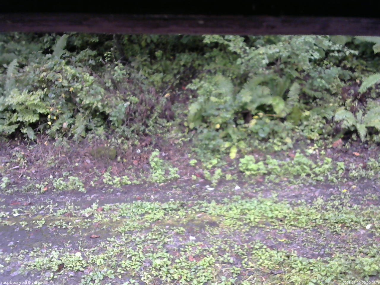 長野県菅平高原 ゆたか山荘 南側 2025/09/19 09:00