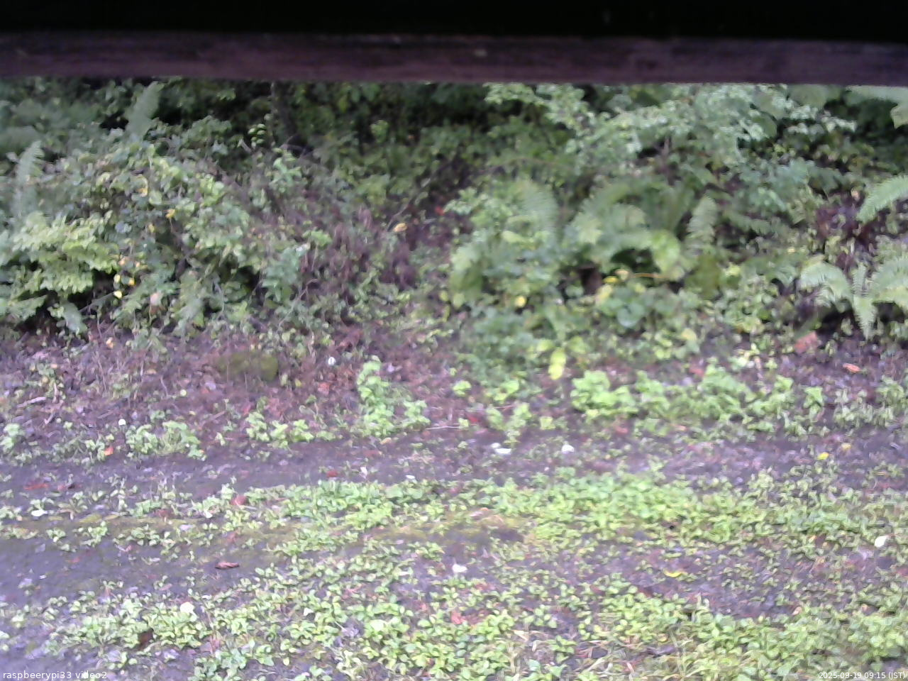長野県菅平高原 ゆたか山荘 南側 2025/09/19 09:15