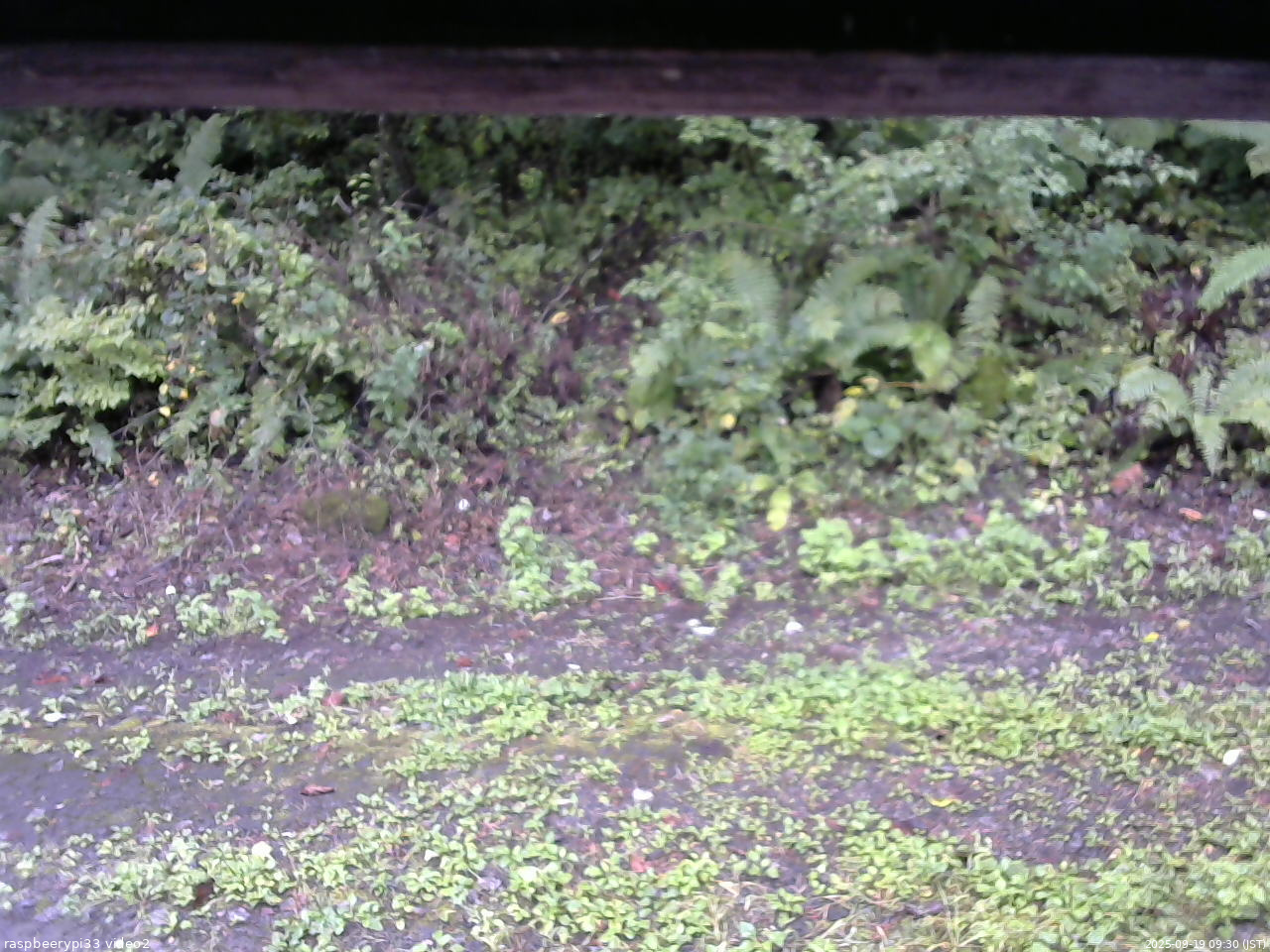 長野県菅平高原 ゆたか山荘 南側 2025/09/19 09:30