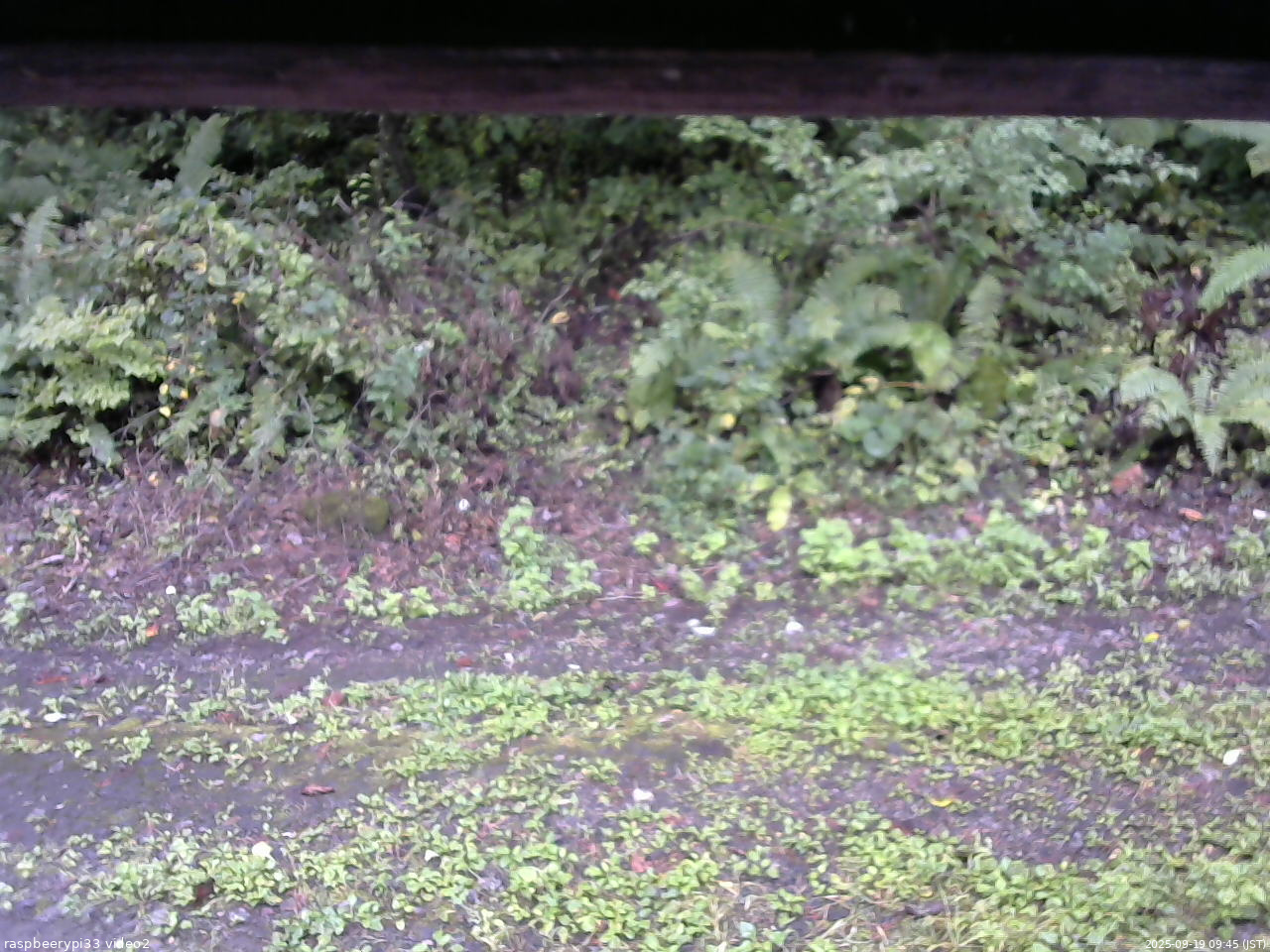 長野県菅平高原 ゆたか山荘 南側 2025/09/19 09:45
