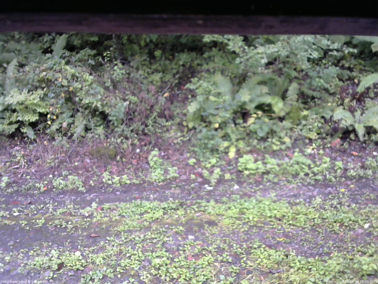 長野県菅平高原 ゆたか山荘 南側 2025/09/19 10:00