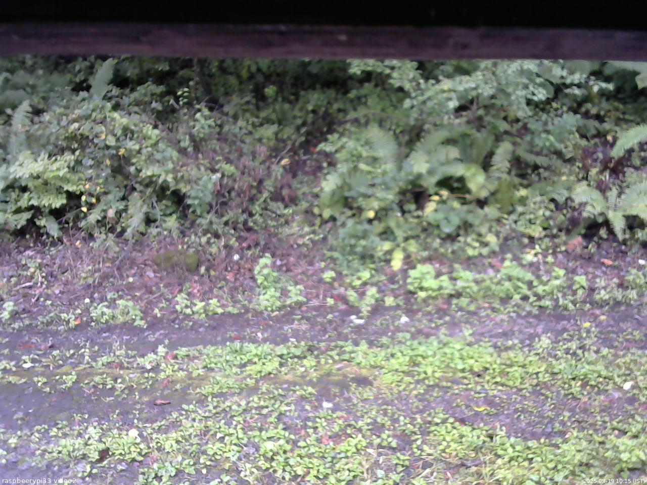 長野県菅平高原 ゆたか山荘 南側 2025/09/19 10:15