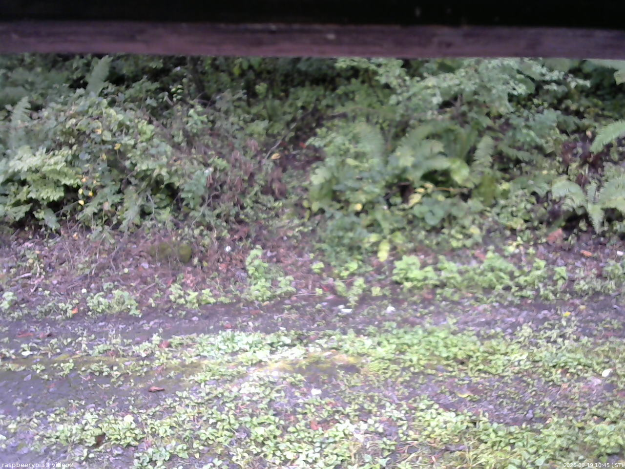 長野県菅平高原 ゆたか山荘 南側 2025/09/19 10:45