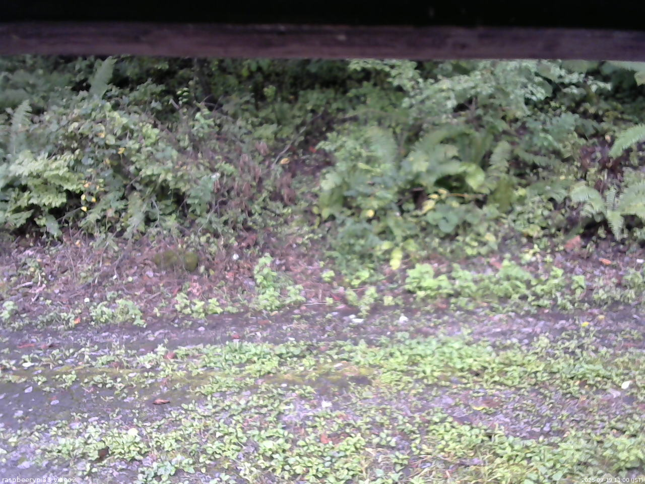 長野県菅平高原 ゆたか山荘 南側 2025/09/19 11:00