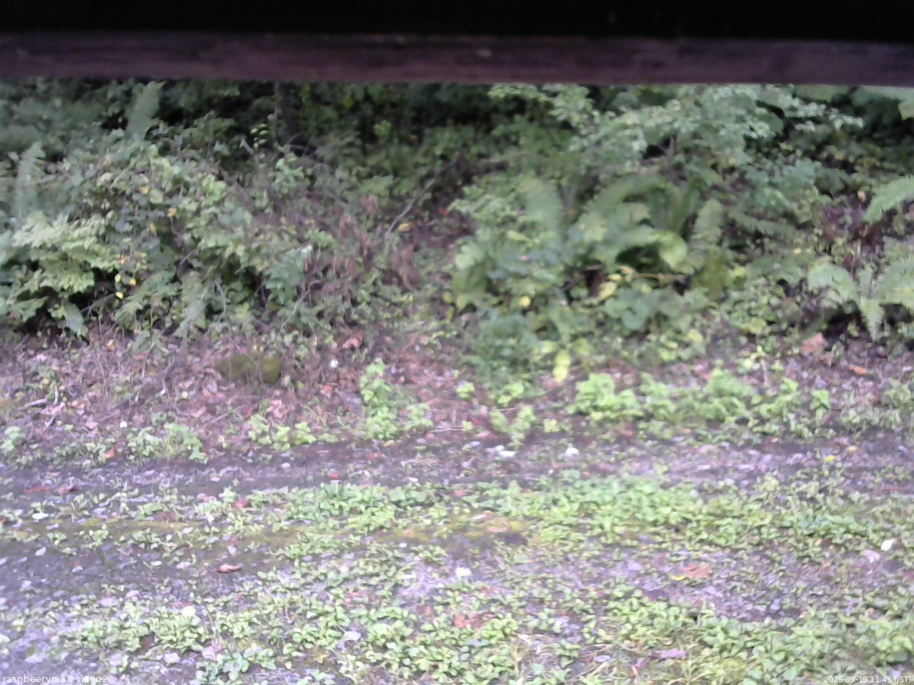 長野県菅平高原 ゆたか山荘 南側 2025/09/19 11:45