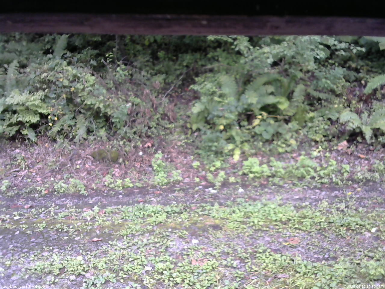 長野県菅平高原 ゆたか山荘 南側 2025/09/19 12:30