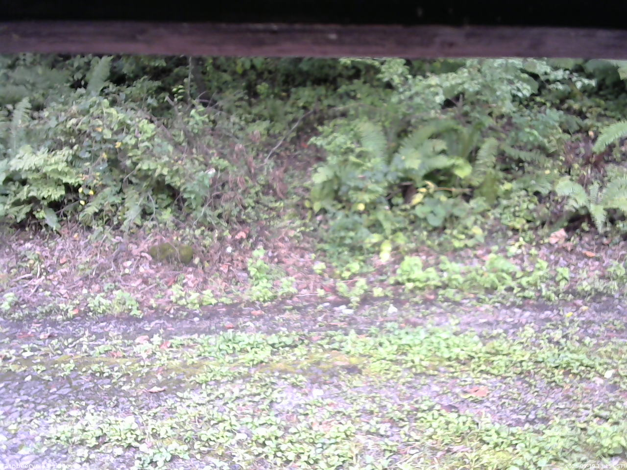長野県菅平高原 ゆたか山荘 南側 2025/09/19 13:15