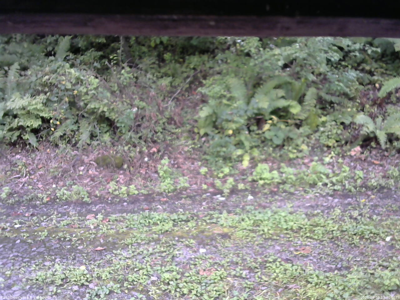 長野県菅平高原 ゆたか山荘 南側 2025/09/19 13:30