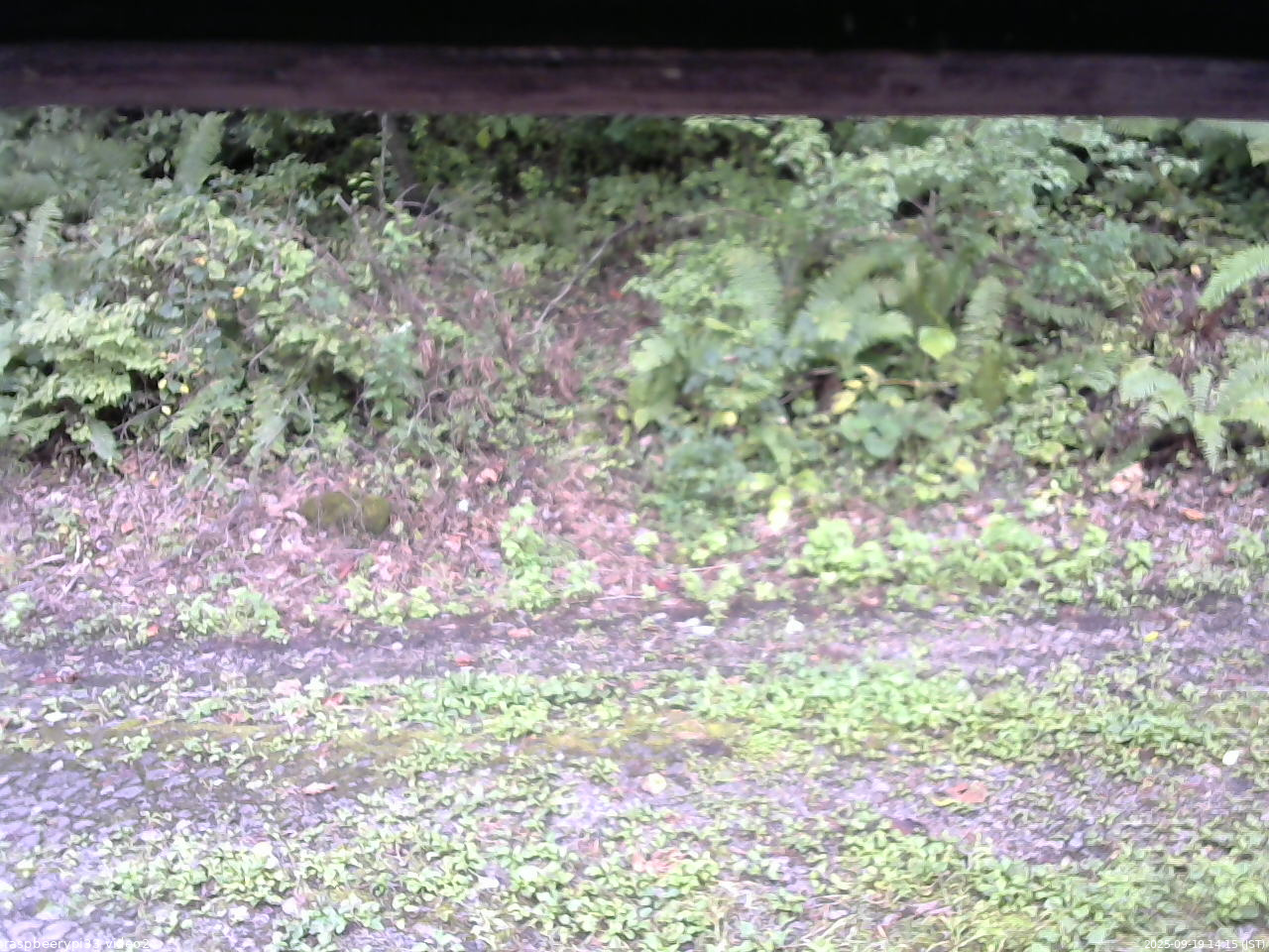 長野県菅平高原 ゆたか山荘 南側 2025/09/19 14:15