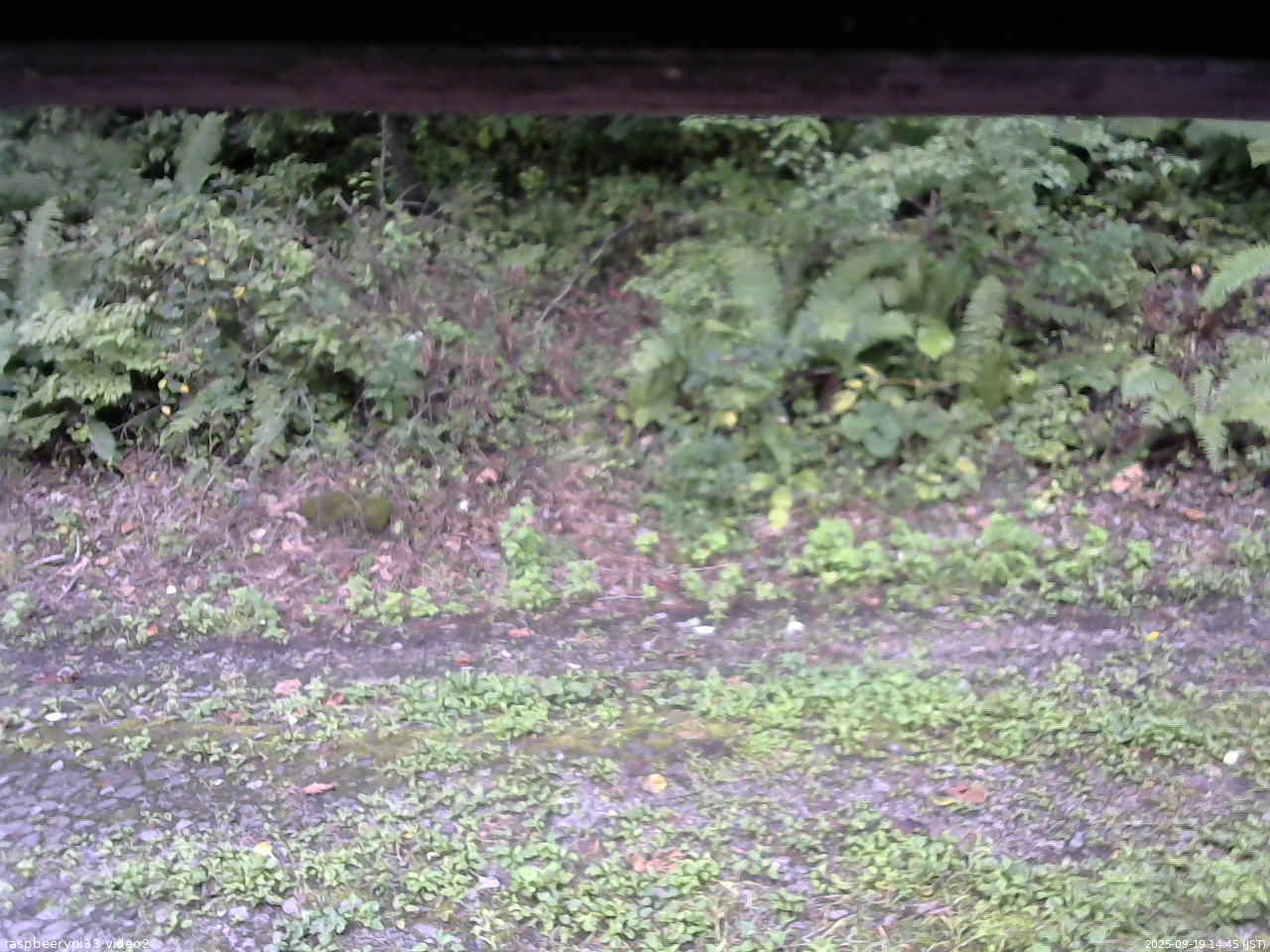 長野県菅平高原 ゆたか山荘 南側 2025/09/19 14:45