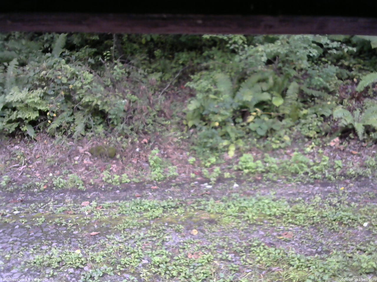 長野県菅平高原 ゆたか山荘 南側 2025/09/19 15:45