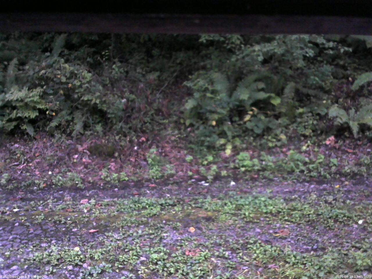 長野県菅平高原 ゆたか山荘 南側 2025/09/19 17:45