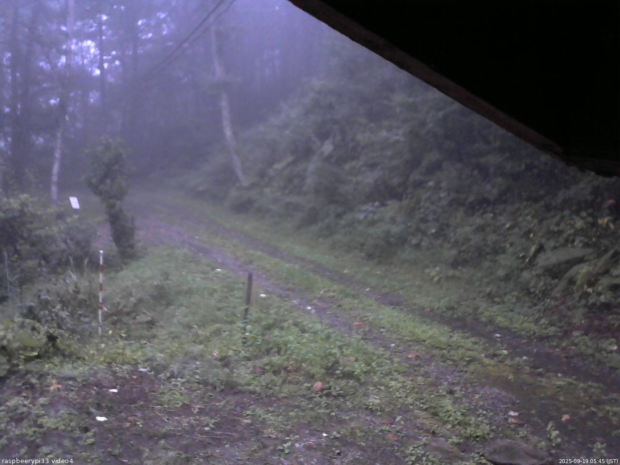 長野県菅平高原 ゆたか山荘 東側(坂下) 2025/09/19 05:45