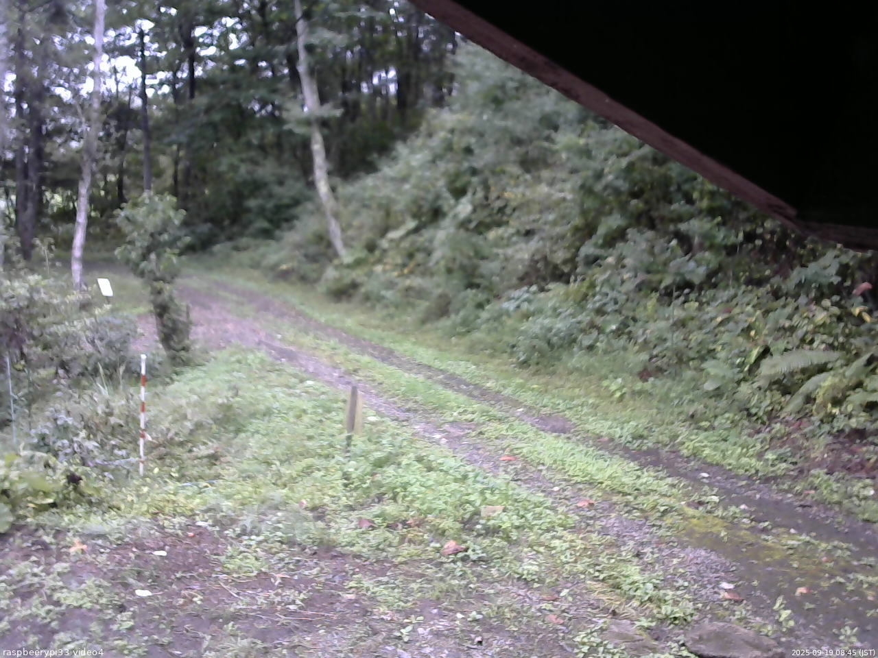長野県菅平高原 ゆたか山荘 東側(坂下) 2025/09/19 08:45