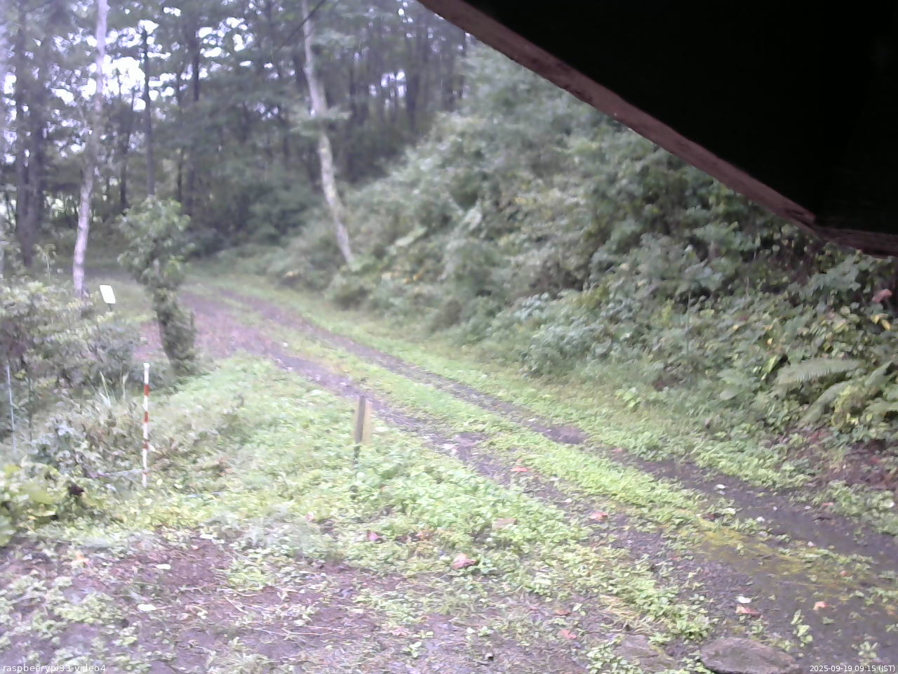 長野県菅平高原 ゆたか山荘 東側(坂下) 2025/09/19 09:15