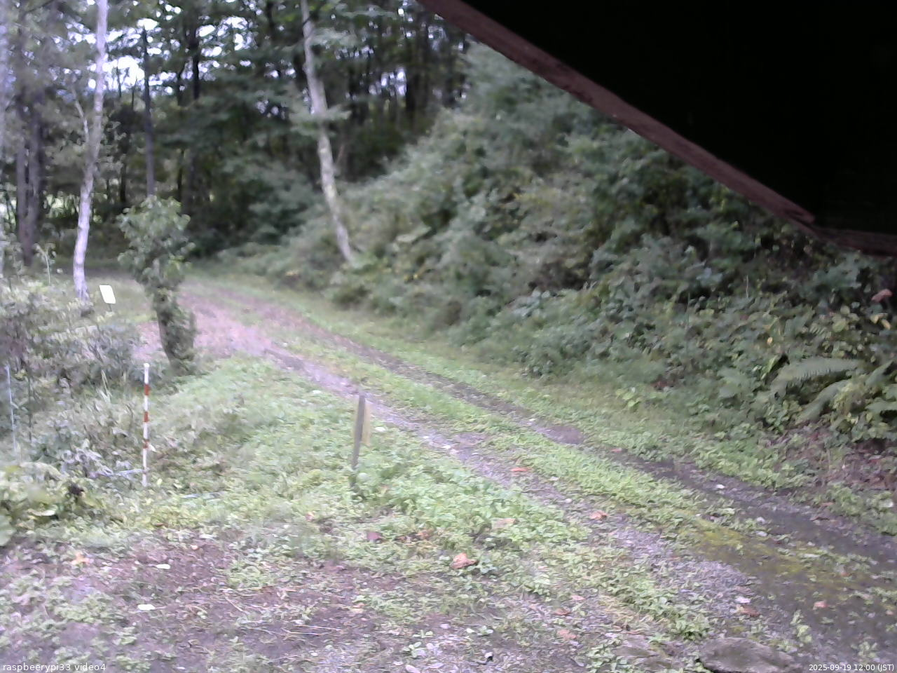 長野県菅平高原 ゆたか山荘 東側(坂下) 2025/09/19 12:00